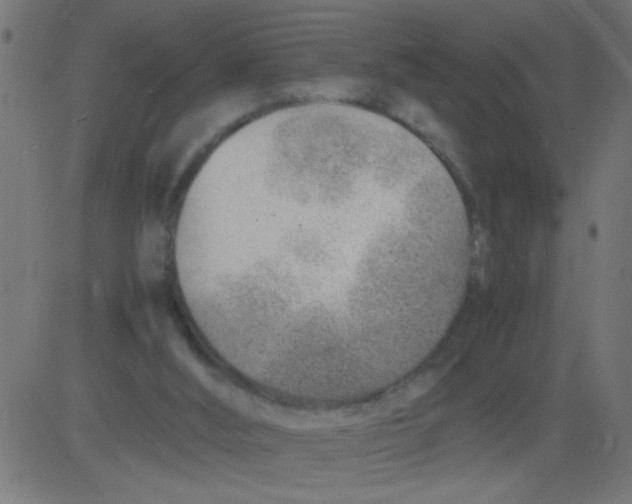 X0000081290012200702012256