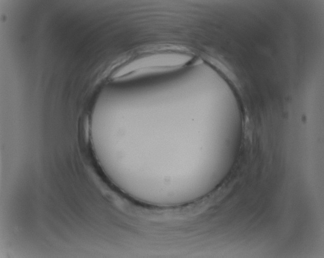 X0000081290013200702012256