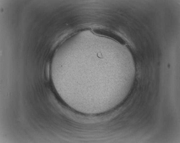 X0000081290014200702012256