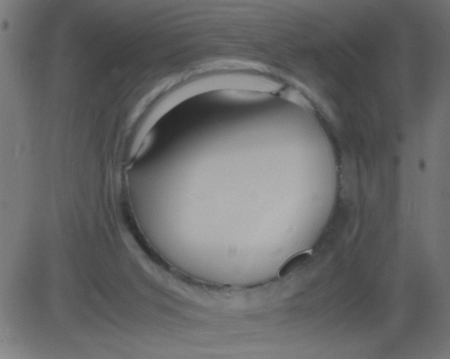 X0000081290015200702012255