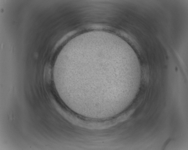 X0000081290016200702012255