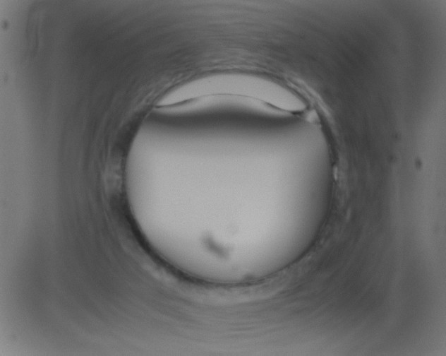 X0000081290017200702012255