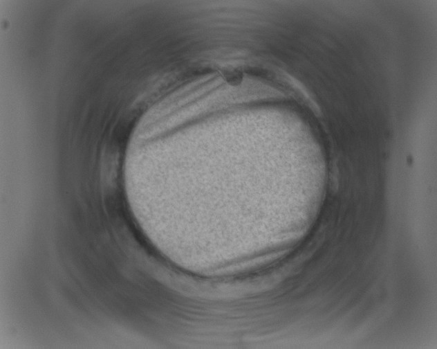 X0000081290018200702012255