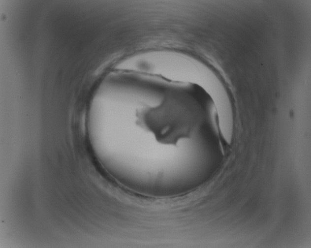 X0000081290019200702012255