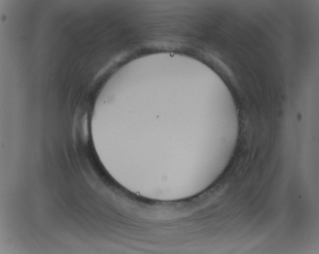 X0000081290020200702012255