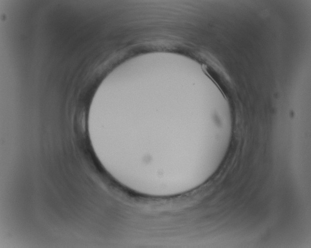 X0000081290021200702012255