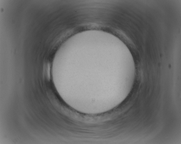 X0000081290022200702012255