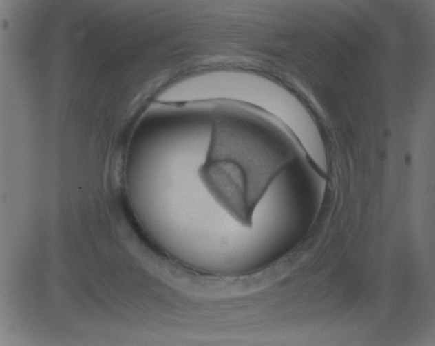 X0000081290023200702012255