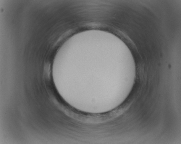 X0000081290024200702012255