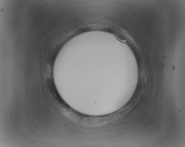 X0000081290025200702012255