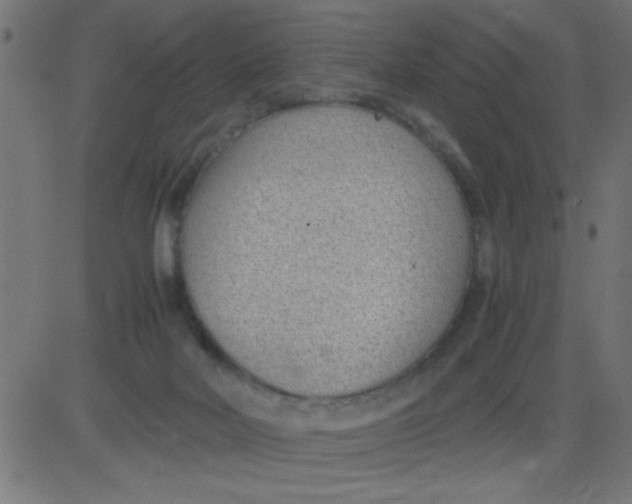 X0000081290026200702012255