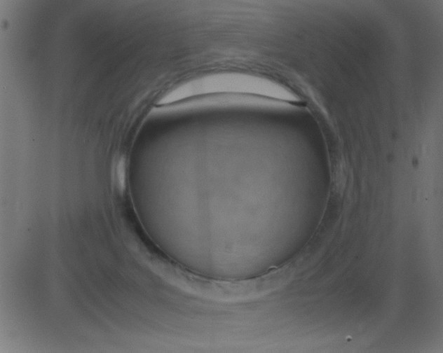 X0000081290027200702012255