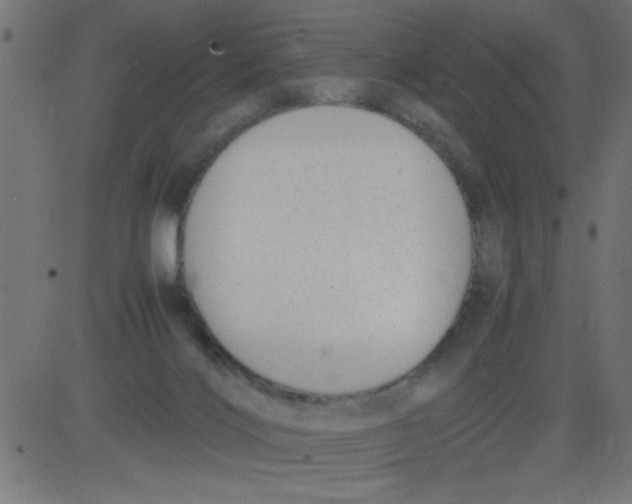 X0000081290028200702012255