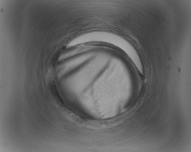 X0000081290029200702012255