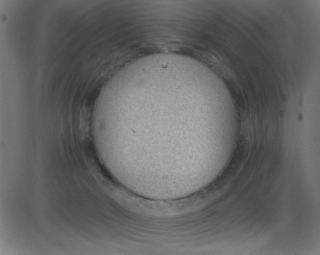 X0000081290030200702012255