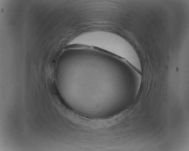 X0000081290031200702012255