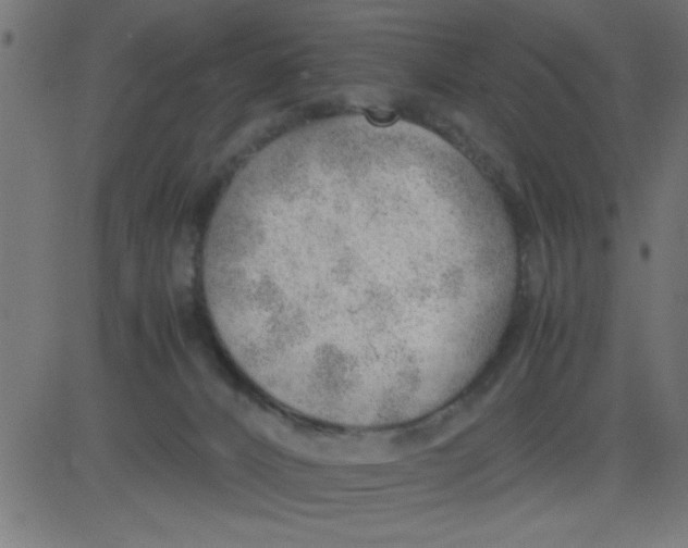 X0000081290032200702012255