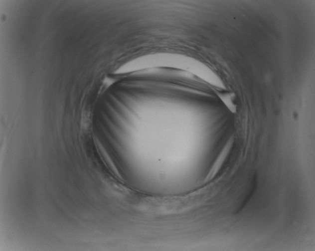 X0000081290033200702012255