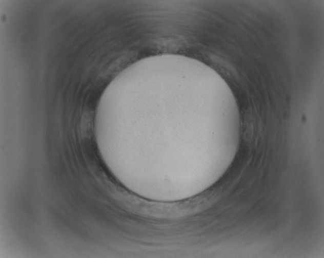 X0000081290034200702012255