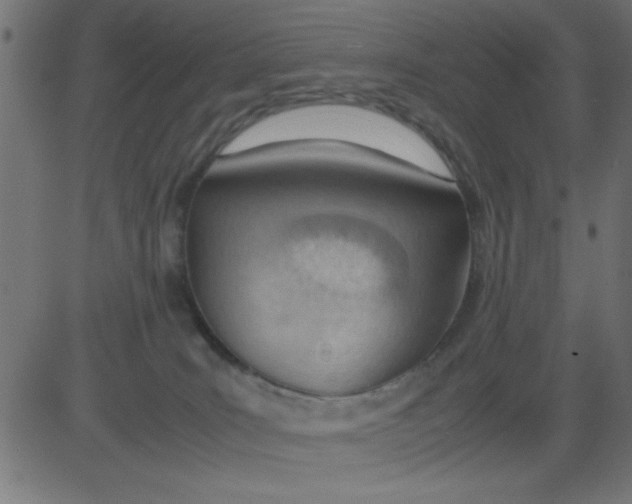 X0000081290035200702012255