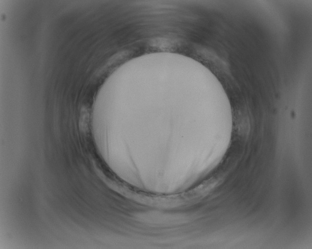 X0000081290036200702012255