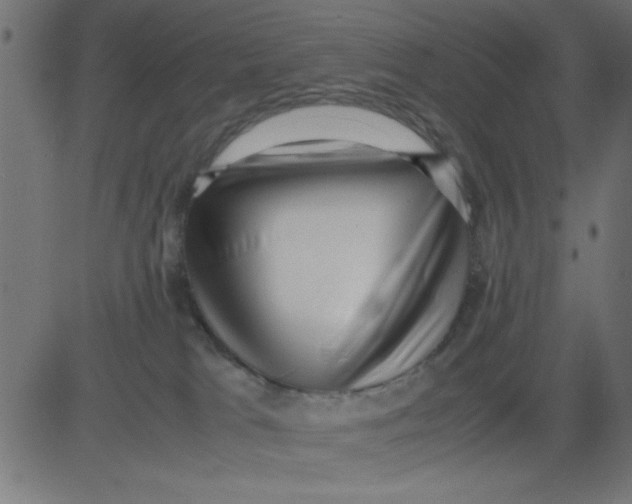 X0000081290037200702012255