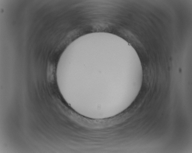 X0000081290038200702012255