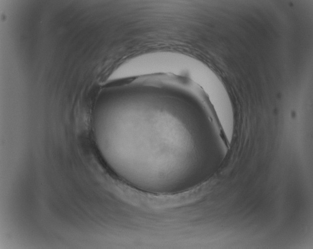 X0000081290039200702012255