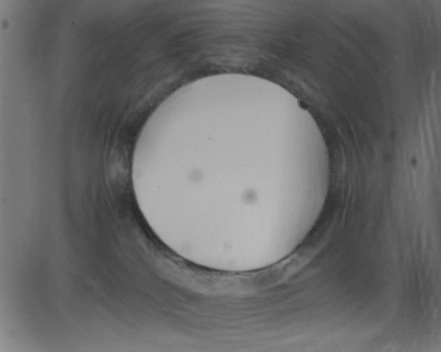 X0000081290040200702012255