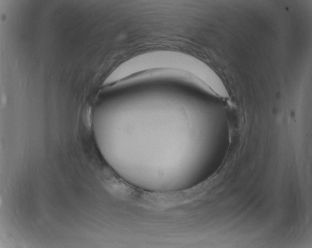 X0000081290041200702012255