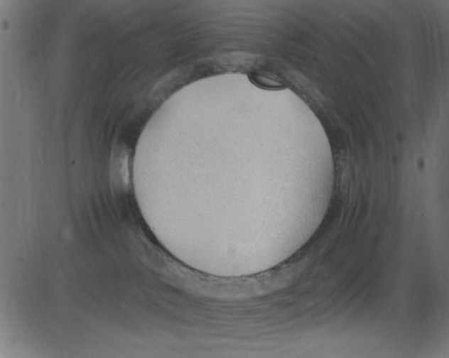 X0000081290042200702012255