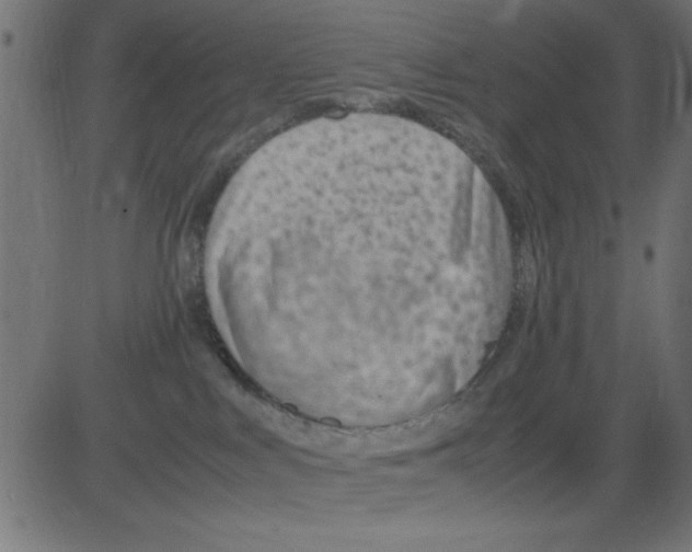 X0000081290043200702012255