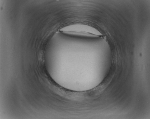 X0000081290044200702012255