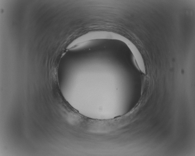 X0000081290045200702012255