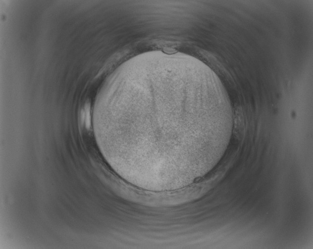 X0000081290046200702012255