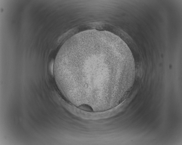 X0000081290047200702012255