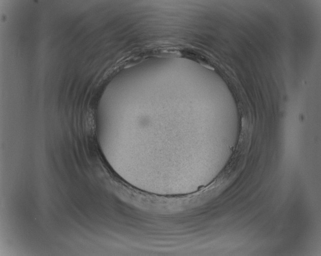 X0000081290048200702012255