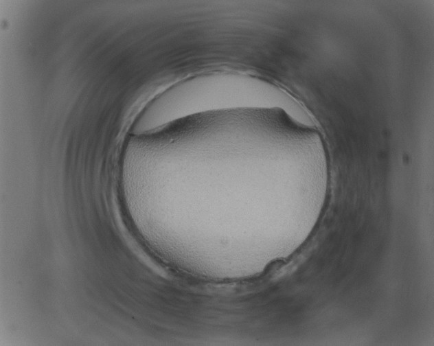 X0000081290049200702012254