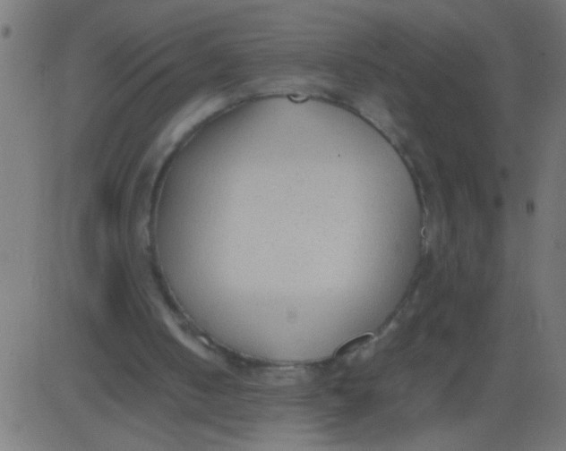 X0000081290050200702012254