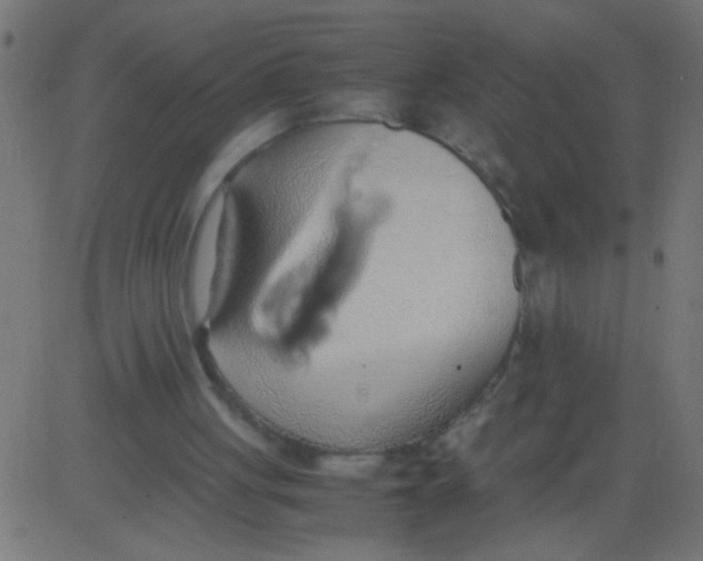 X0000081290051200702012254