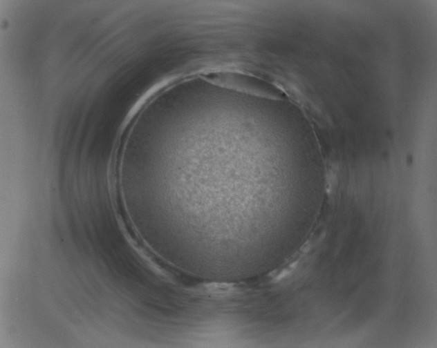 X0000081290052200702012254