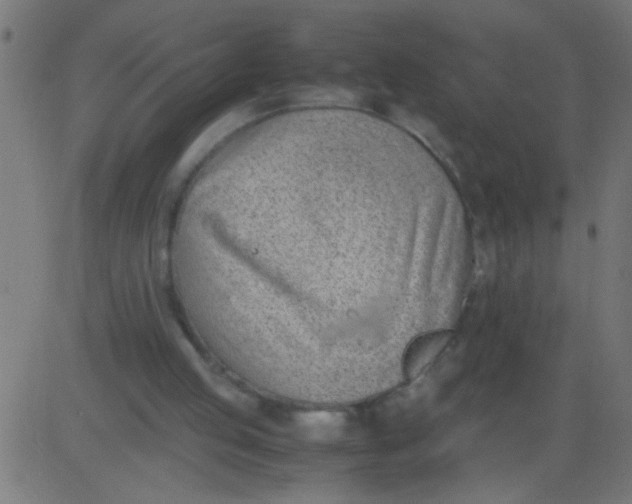 X0000081290053200702012254