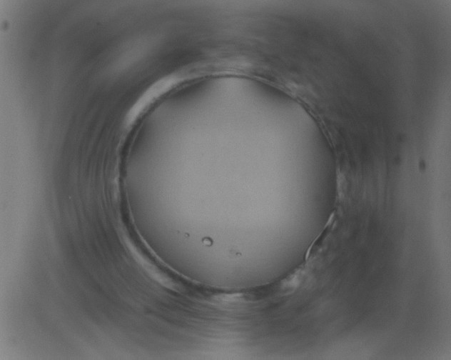 X0000081290054200702012254