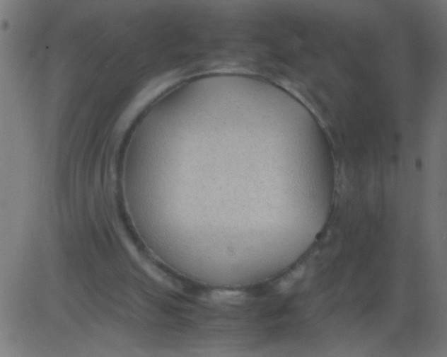 X0000081290055200702012254