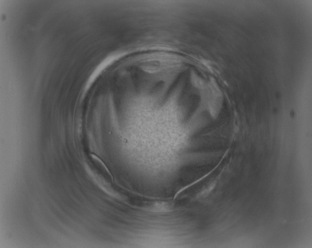 X0000081290056200702012254