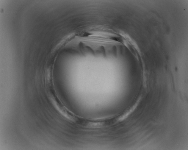 X0000081290057200702012254