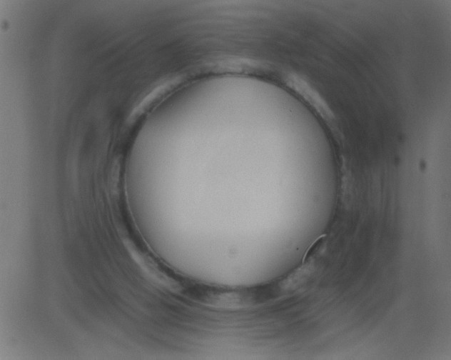 X0000081290058200702012254