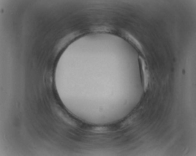 X0000081290059200702012254