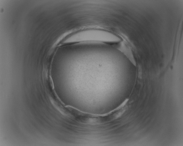 X0000081290060200702012254