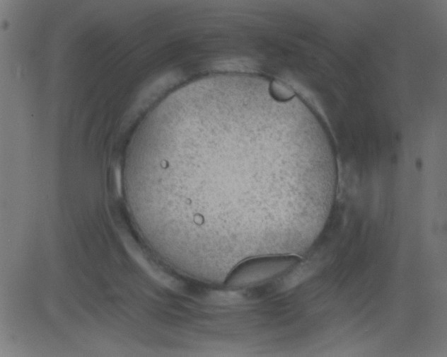 X0000081290061200702012254